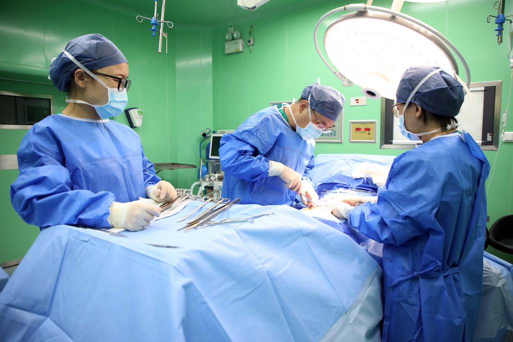 10��20�գ��Ї���܊����ƽ���ۡ�̖�t(y��)Ժ����ؐ������Ŭ�_չ�t(y��)������(w��)�����A��l(f��)����־�ڔz��